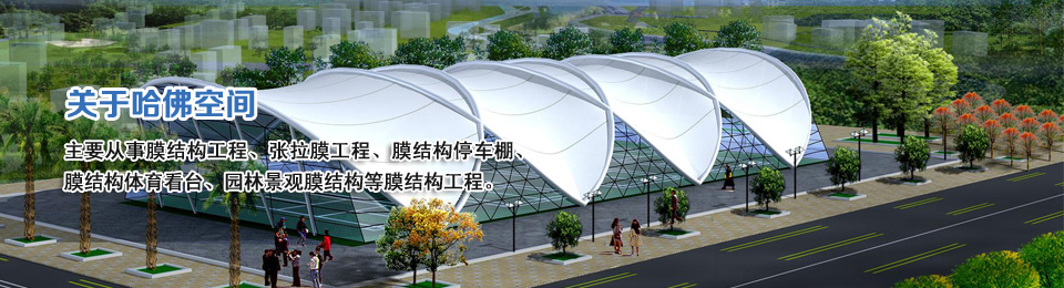 哈佛膜結構公司.jpg